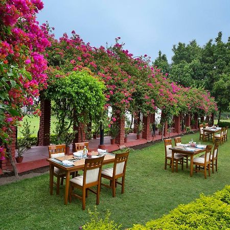 Naturoville Ayurvedic And Yoga Retreat Hotell Rishīkesh Eksteriør bilde